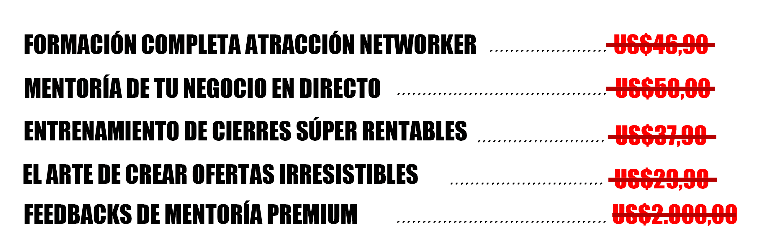 Todo incluido Atracción Networker (1)