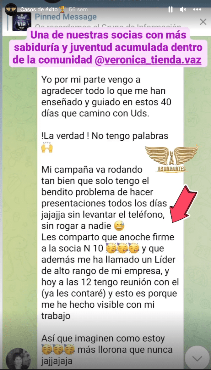 Vero Zepeda (10 socias sin experiencia en campañas) Vero Zepeda (10 socias sin experiencia en campañas)